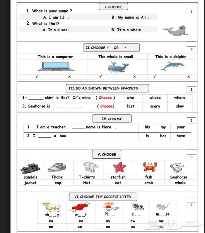 معلمه انجليزي 1