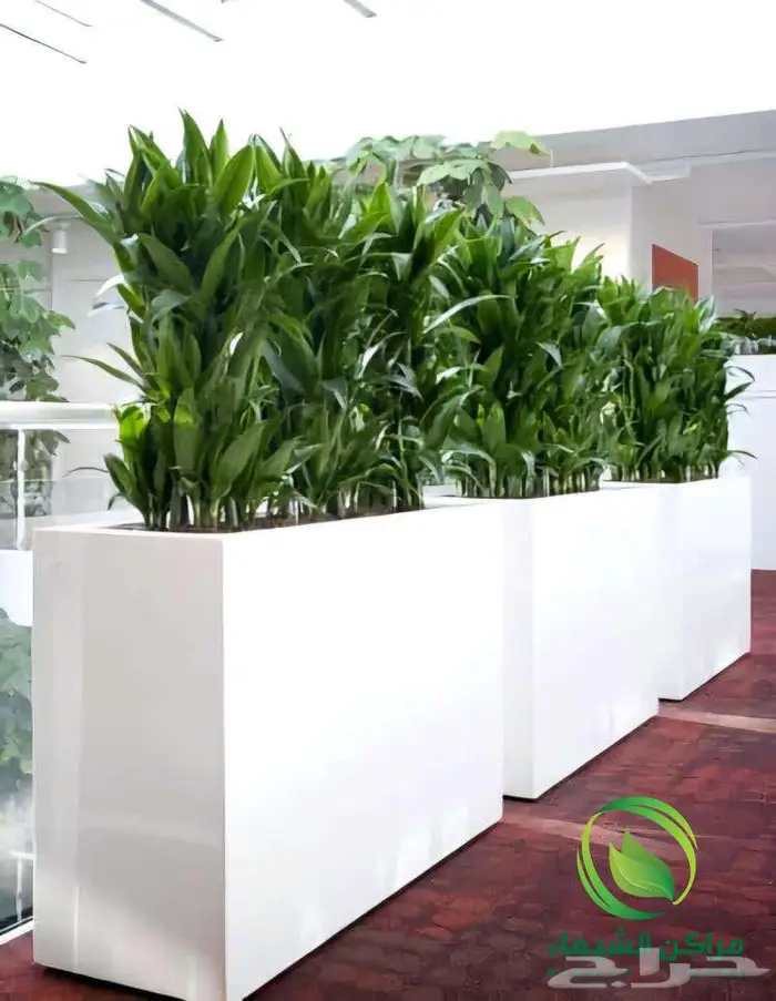 احواض زراعية فايبر بالطائف بسعر المصنع مراكن جملة 23