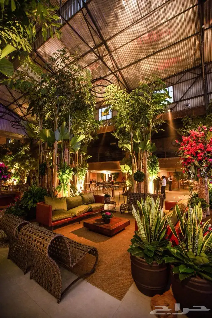 مطلو ممول او مستثمر لمشروع بفكره غير مسبوقه بالشرق الأوسط 1