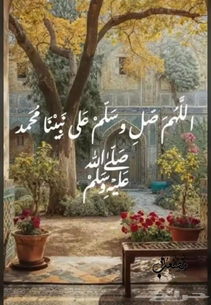 جلسات خارجية 9