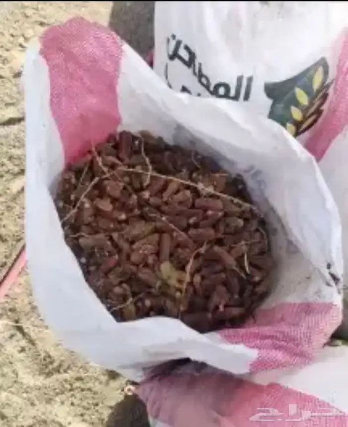 تمر حلال للبيع 2