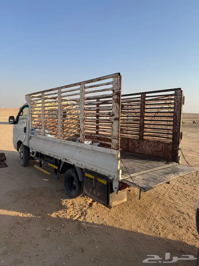 دينا كيا 2014 3