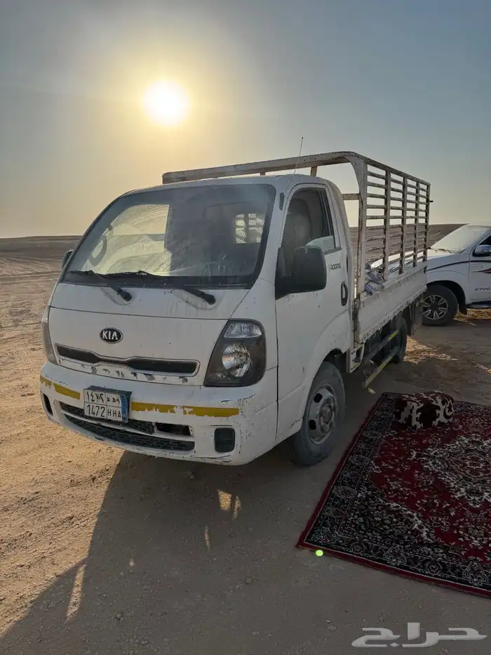 دينا كيا 2014 2