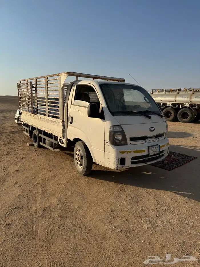 دينا كيا 2014 0