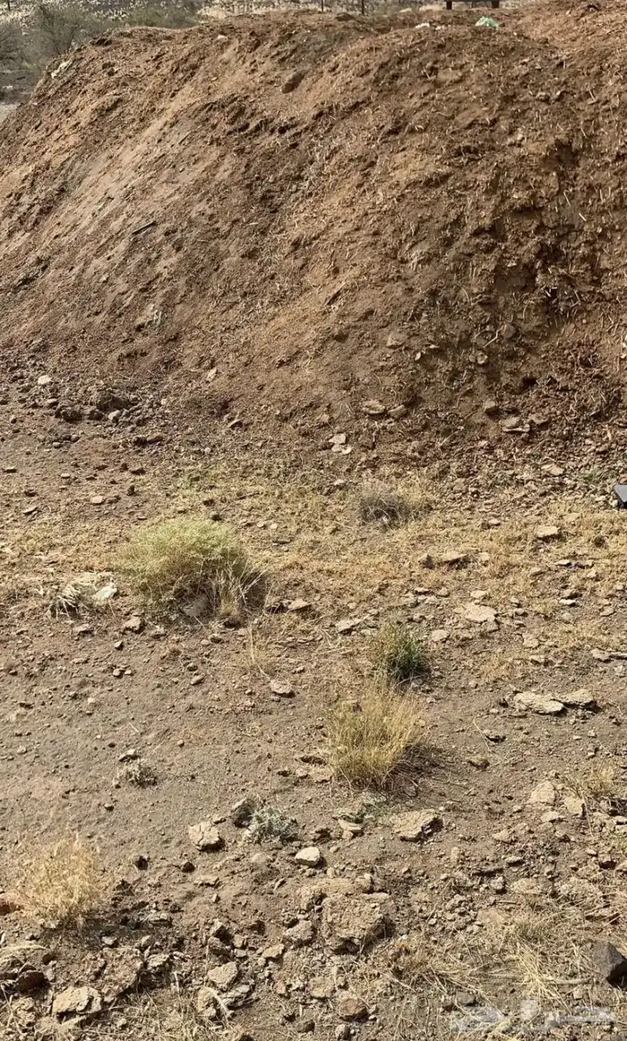 سماد 2