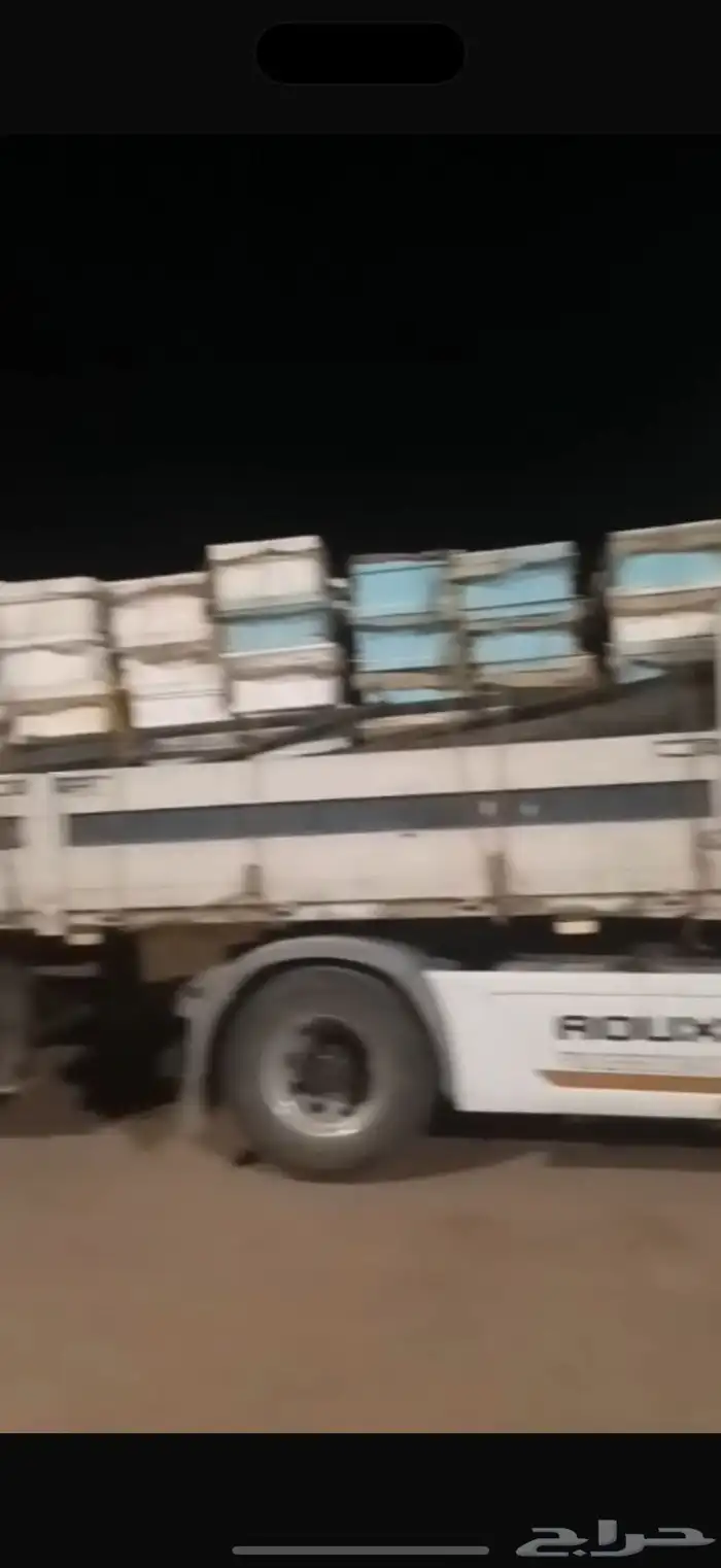 ترى الجوانب الماني لنقل النحل 1