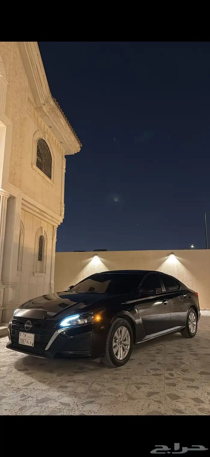 التيماء 2024 0