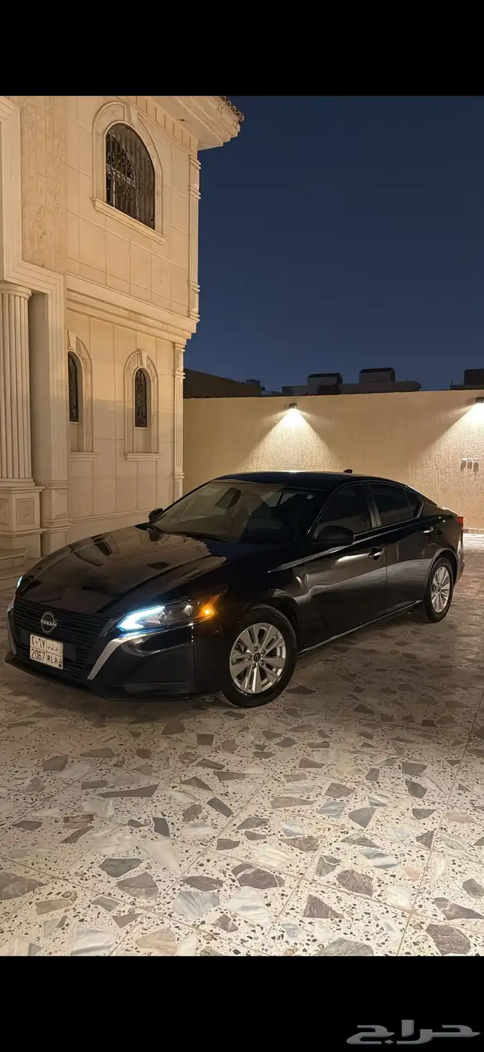 التيماء 2024 1