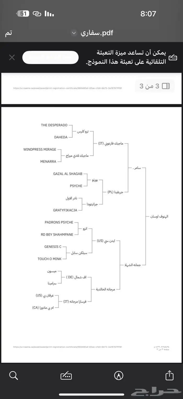 مهره حفيده ابطال من الاب والام 4