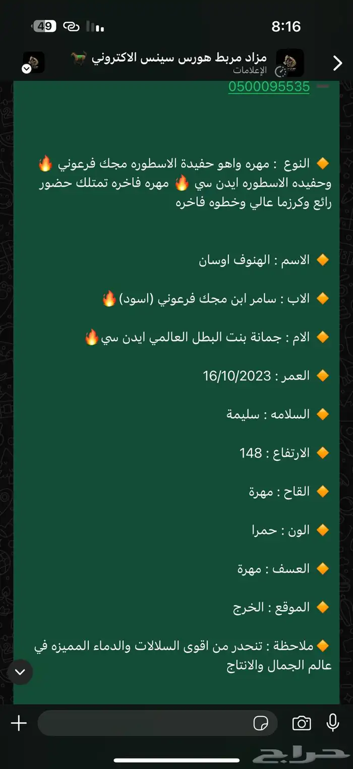 مهره حفيده ابطال من الاب والام 3