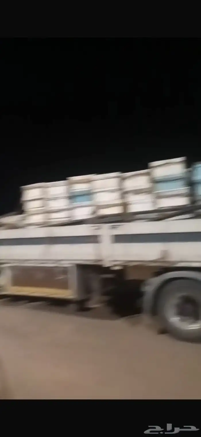 ترى الجوانب الماني لنقل النحل 2