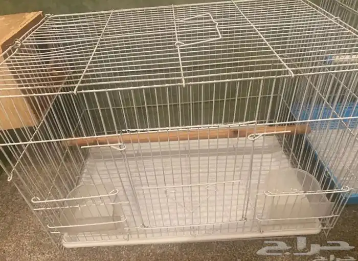 قفص وبياضه 1