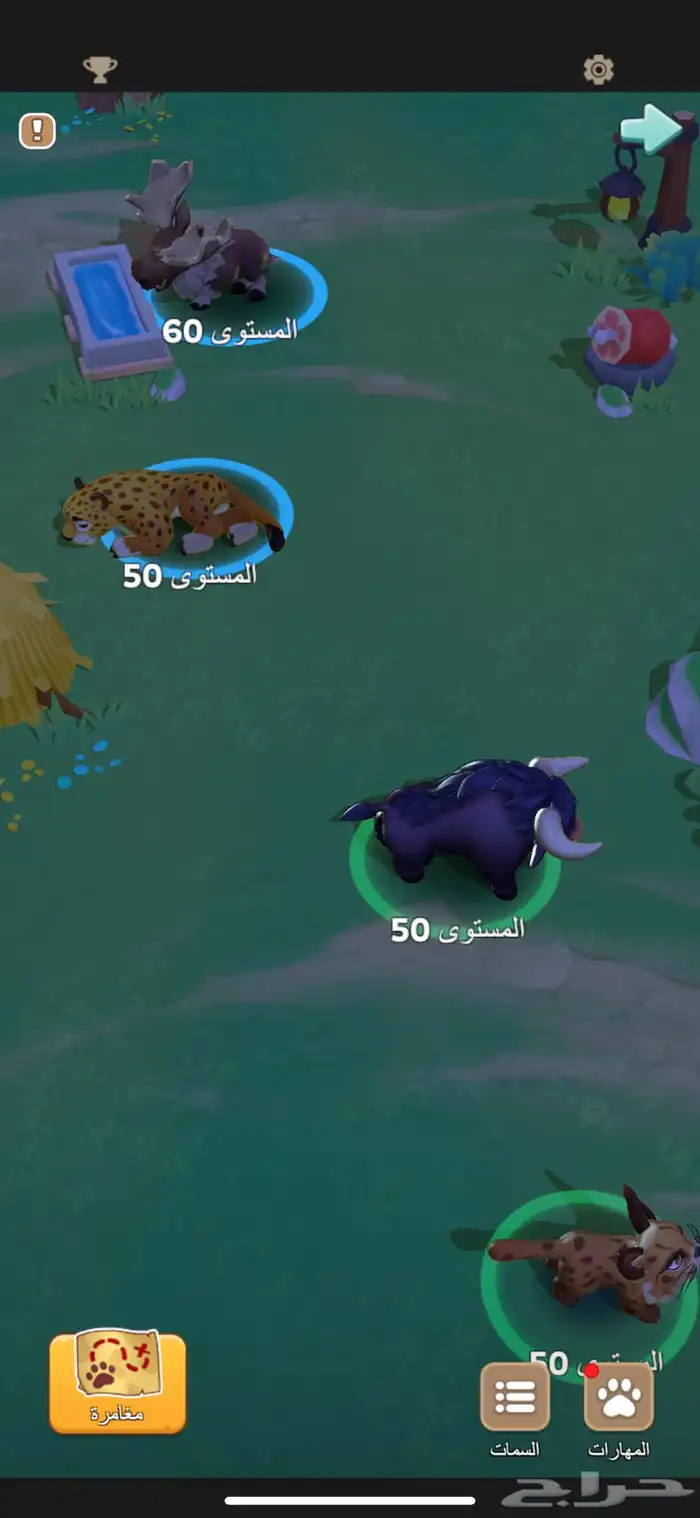 حساب ذهبي 3 لعبة kingshot ملوك البقاء 13