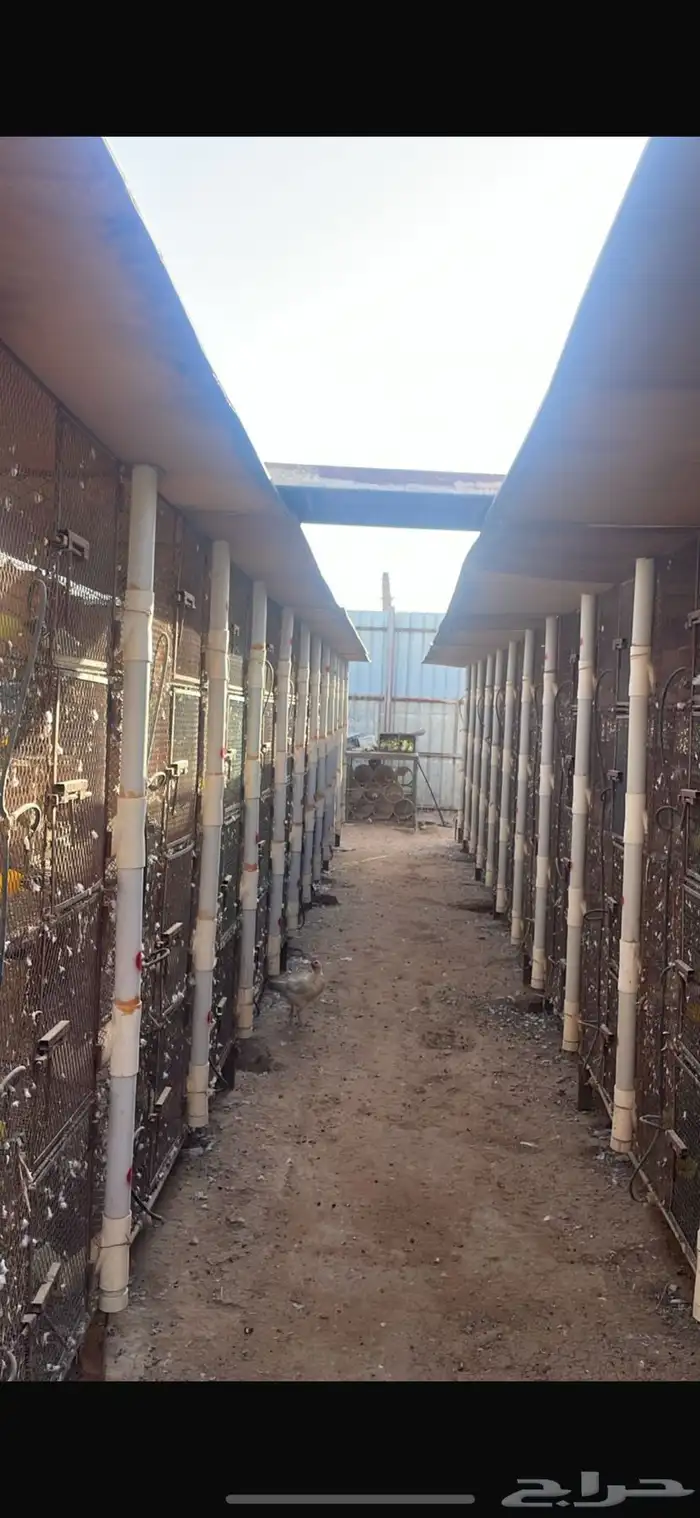 محاكر حمام مشروع كامل 1