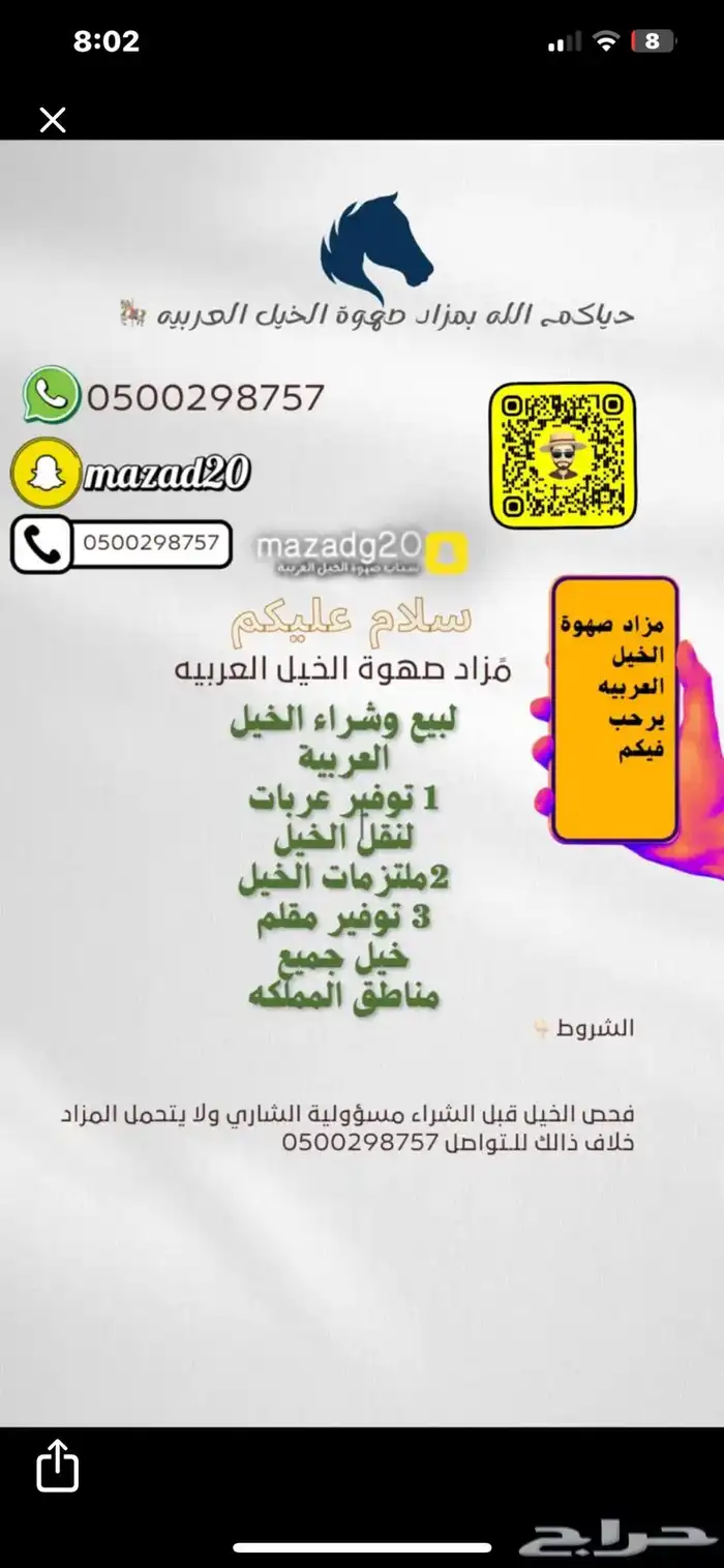 مزاد خيل اكتروني مهم 0