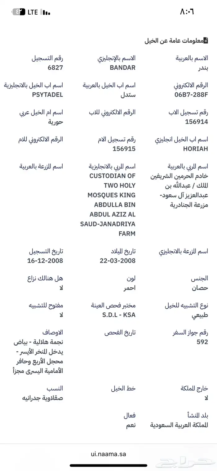 حصان من نوادر انتاج خيول الملك عبدالله 5