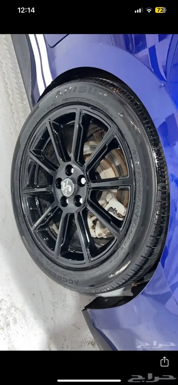 جنوط موستنج 1