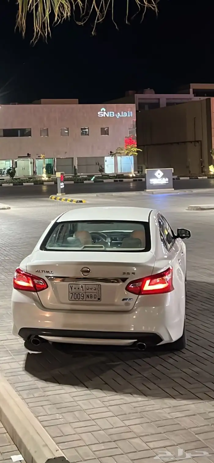 التيماء 2017 2