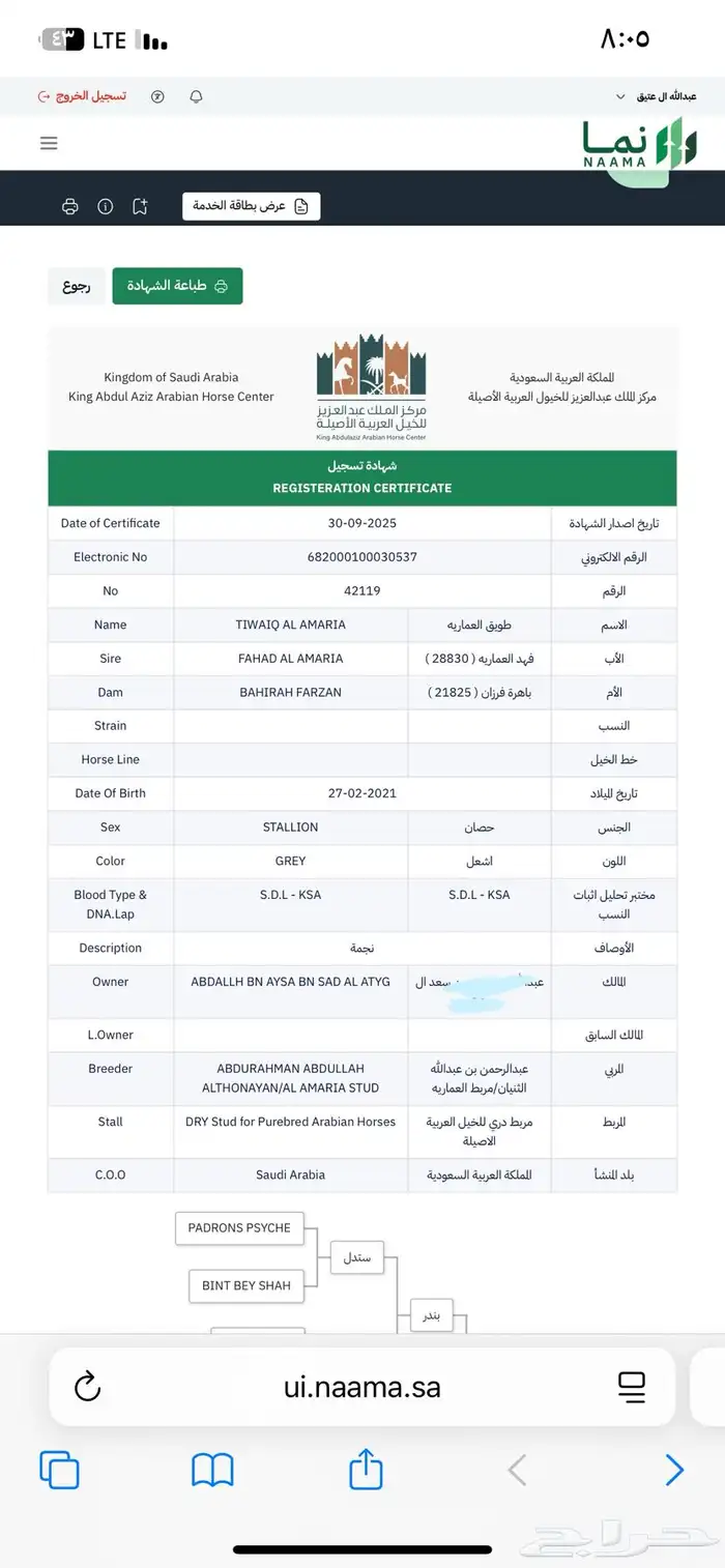حصان من نوادر انتاج خيول الملك عبدالله 3