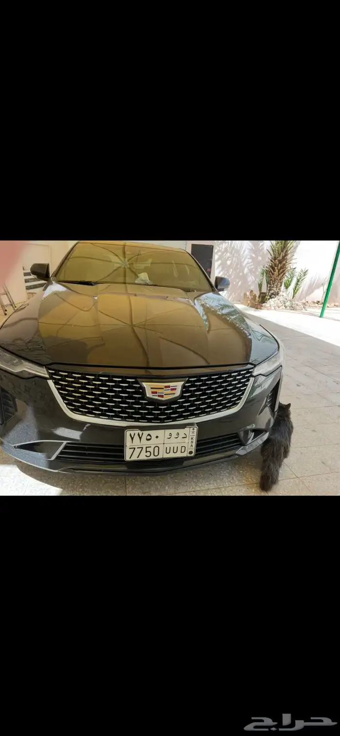 كدلك CT4 مديل 2021 0