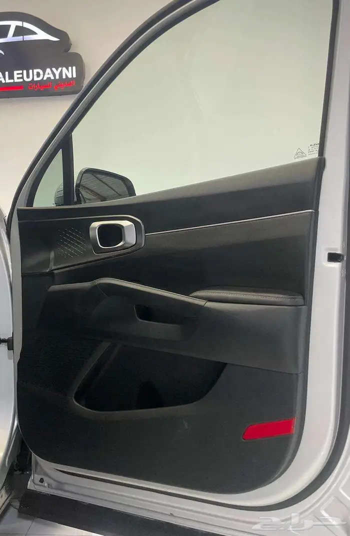 كياسورنتو 2022 21