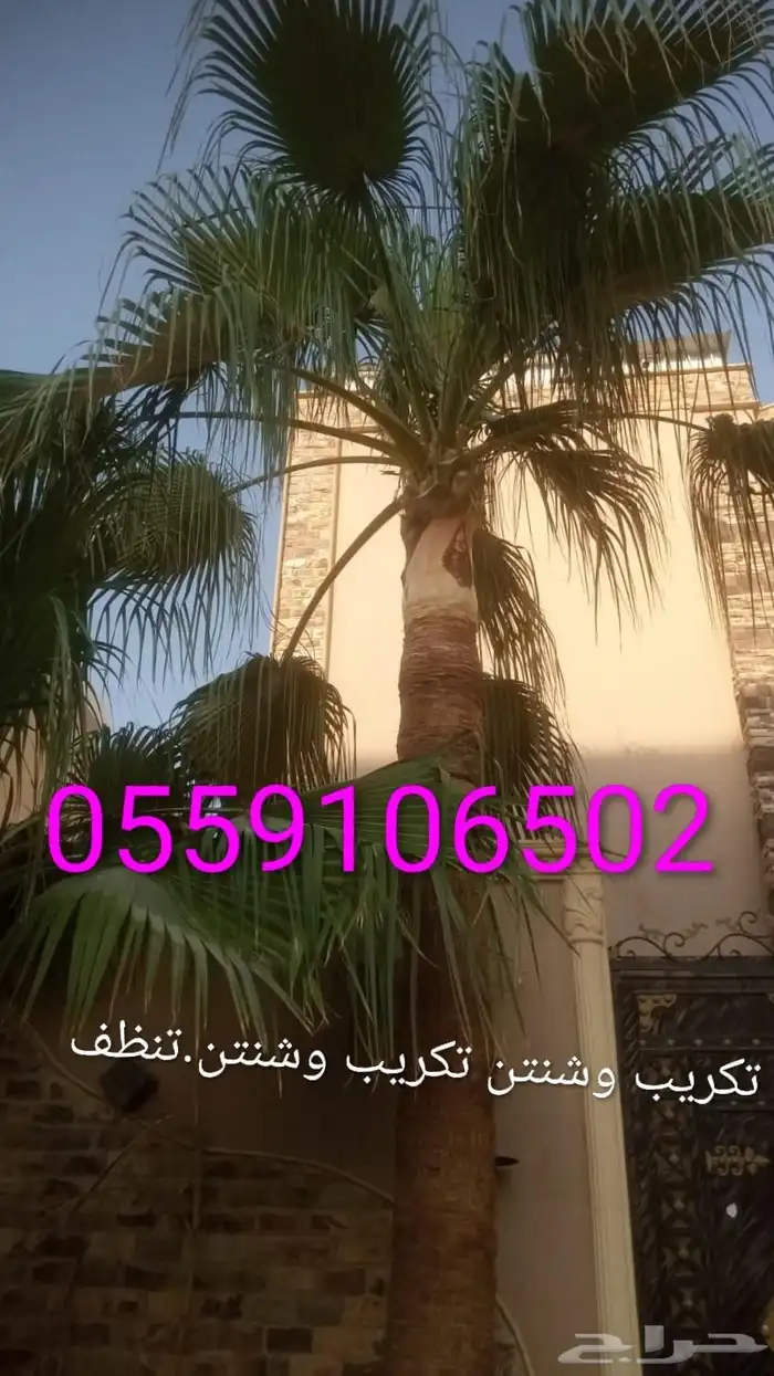 تكريب وشنتن تكريب. 3