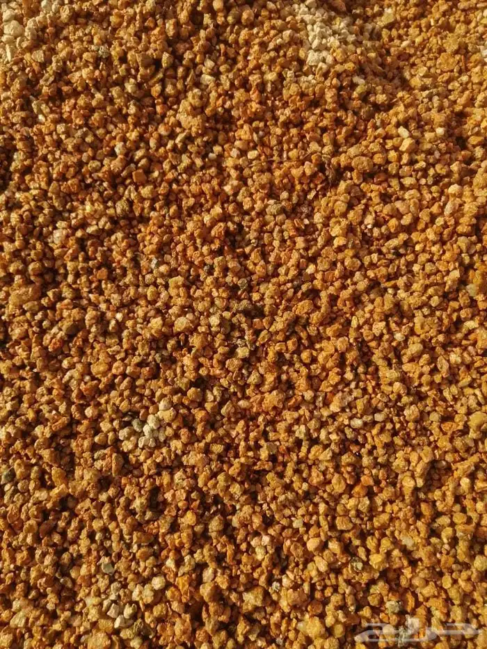 عتب ورمل وبطحه دينا قلاب بريده 2