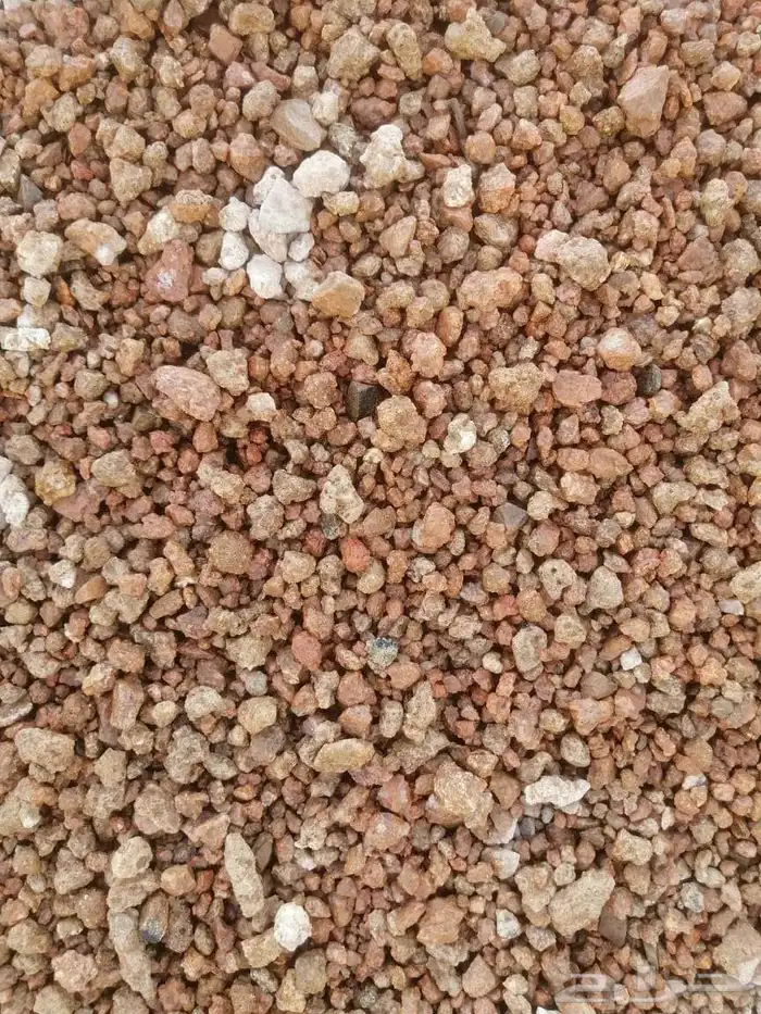 عتب ورمل وبطحه دينا قلاب بريده 4