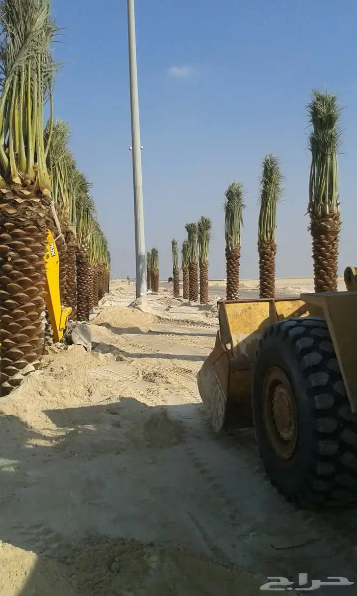 ابو علي لتوريد انخيل 2