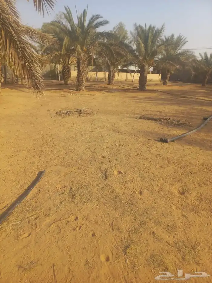 مزرعة واستراحة للبيع 36