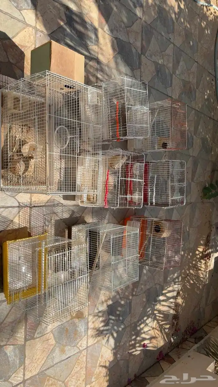 قفص طيور زينه 0