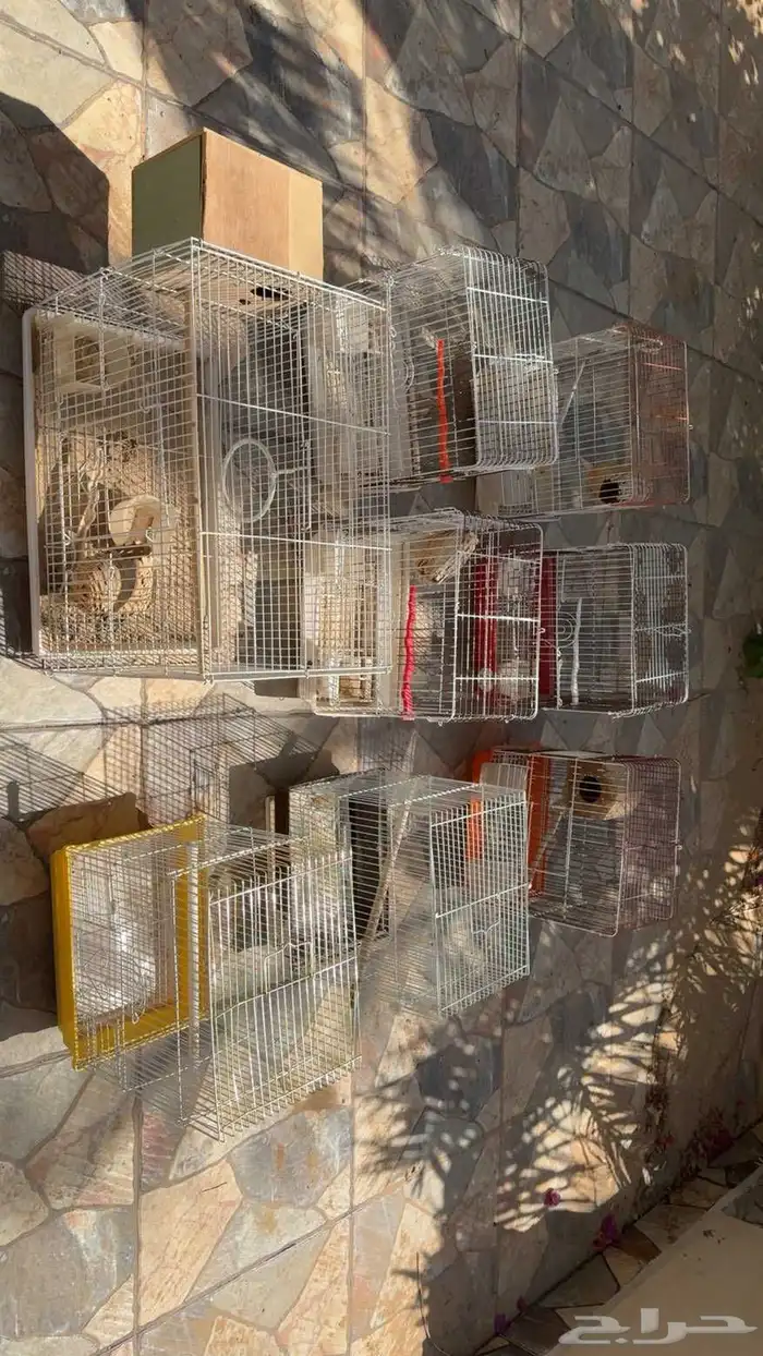 قفص طيور زينه 1