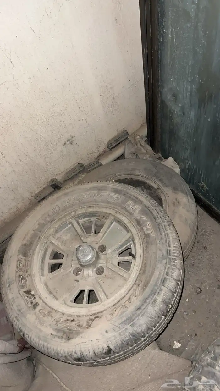 جنوط زد فراشة اصليه 0