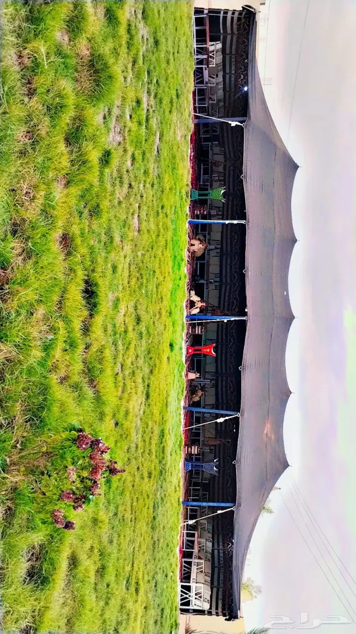 تاجير خيام بيوت شعر خيام شعبيه 3