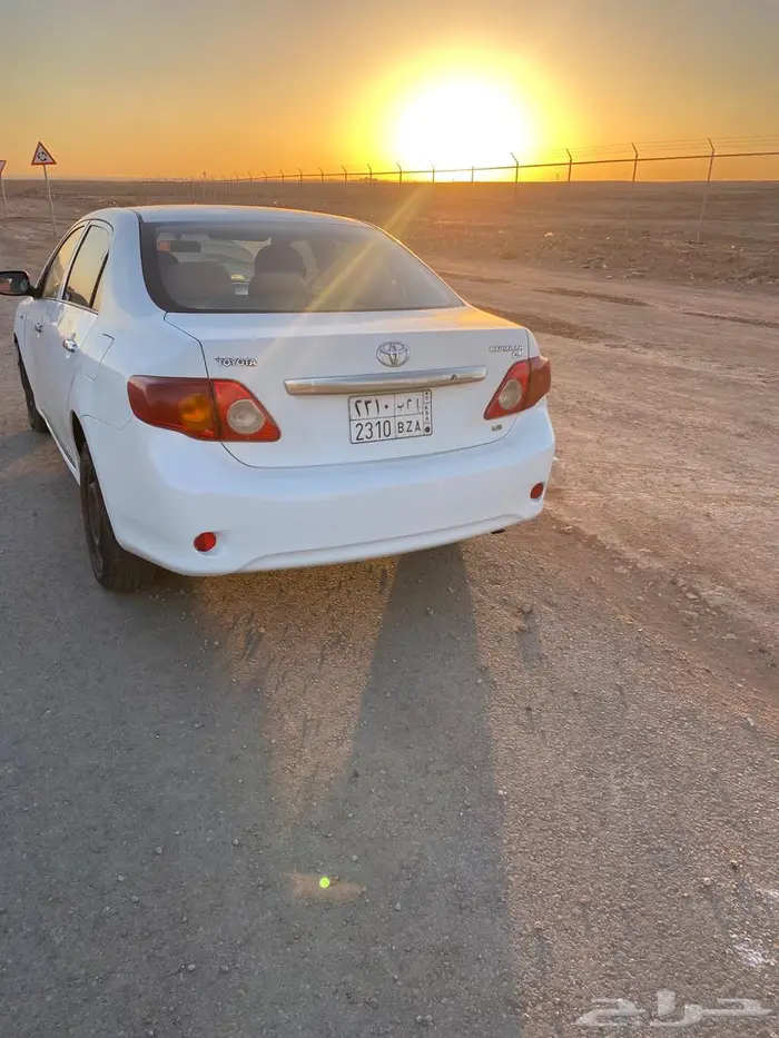 كورلا 6