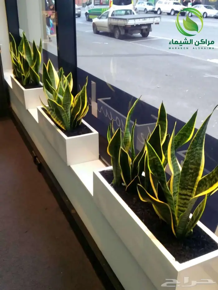 احواض زراعية فايبر بالطائف بسعر المصنع مراكن جملة 34