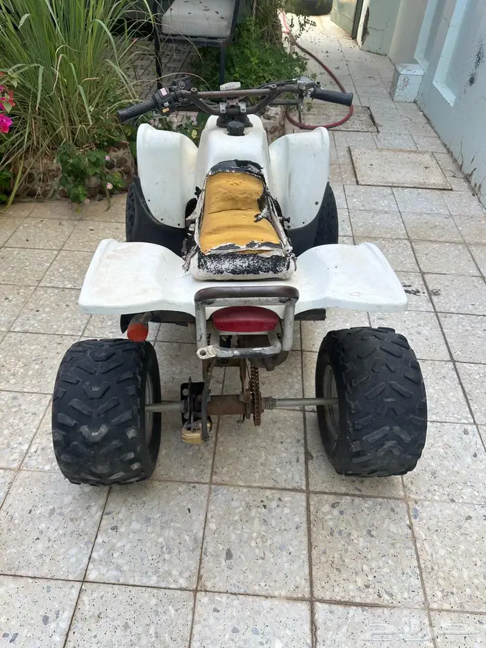 دياب شغال للبيع 3