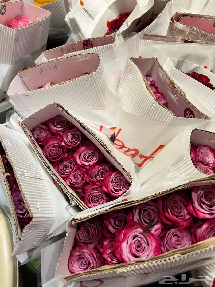 ورد طبيعي سوباتي 0