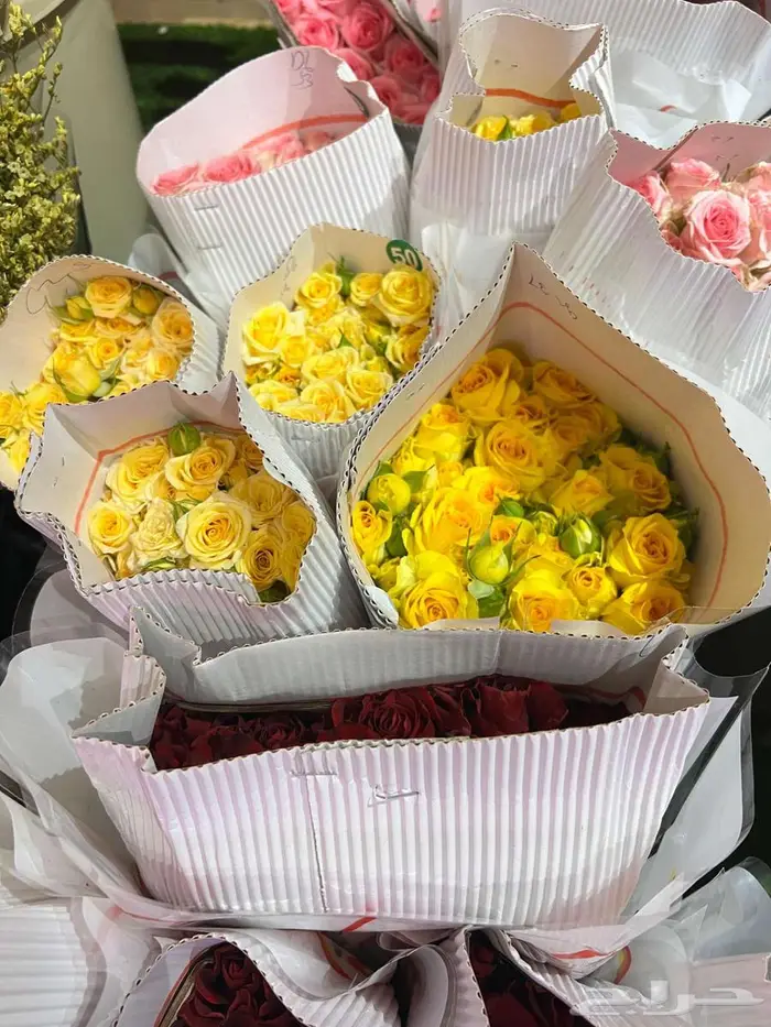 ورد طبيعي سوباتي 4