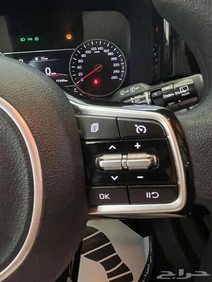 كياسورنتو 2022 12