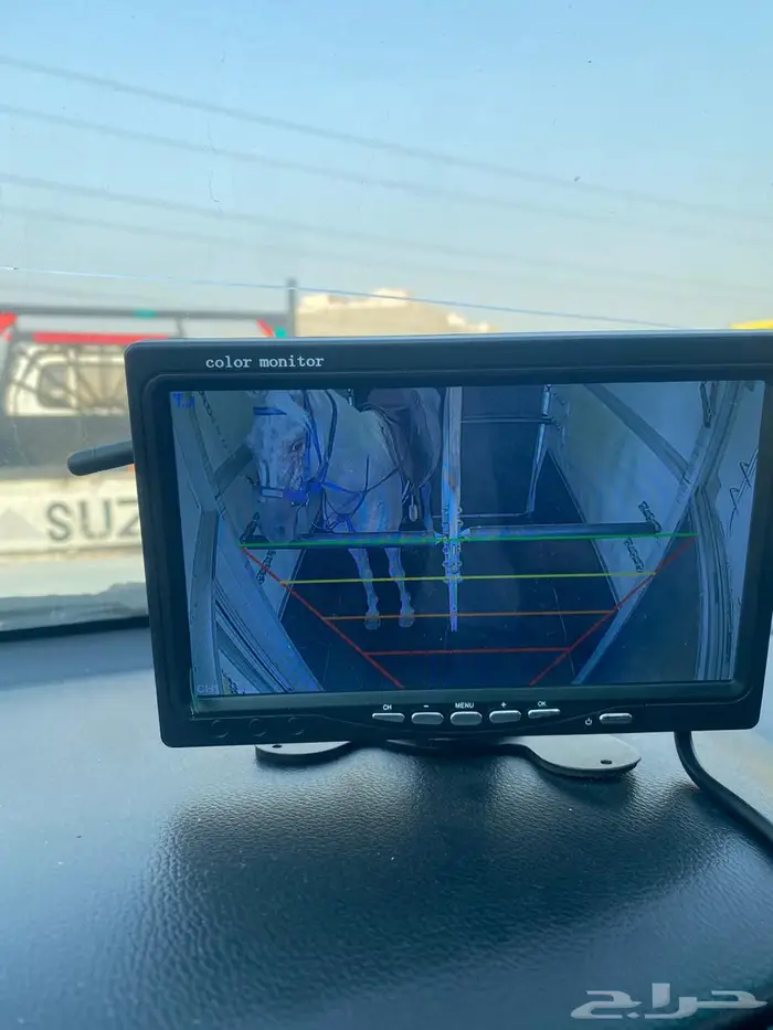 نقل خيل داخل وخارج جدة عربة ايفور ويليام 3