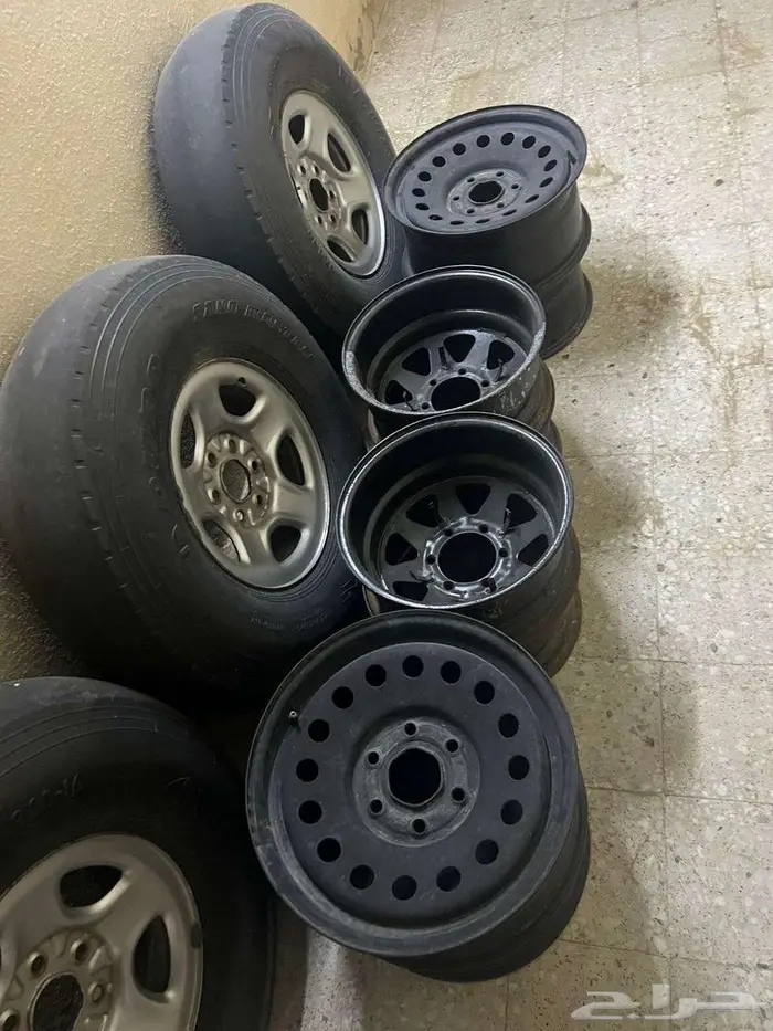 جنوط جمس ( هلل مجوفه ) للبيع 0