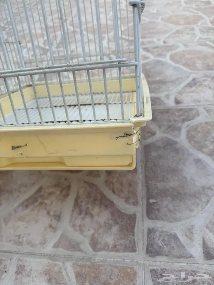 قفص طيور 3