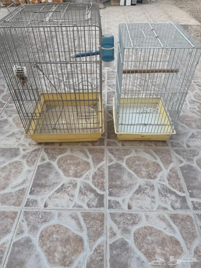 قفص طيور 4