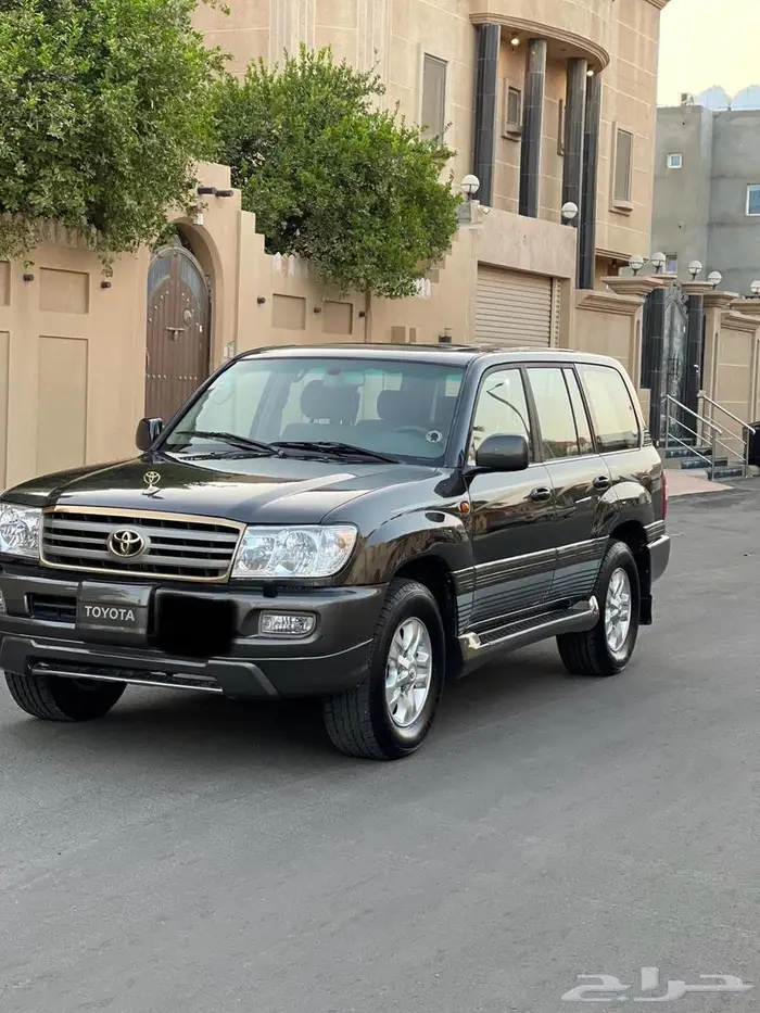 لحية مع النيكل للبيع 0