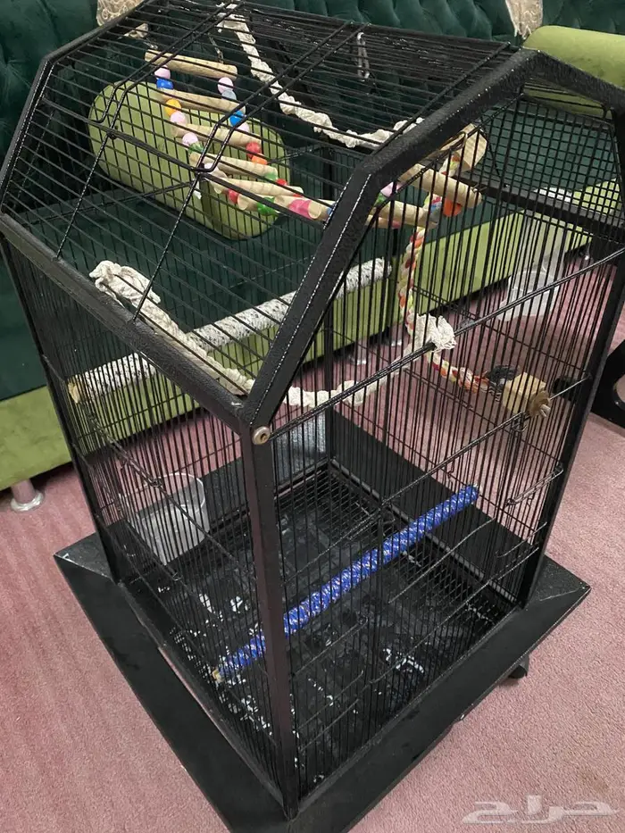 قفص كبير 5