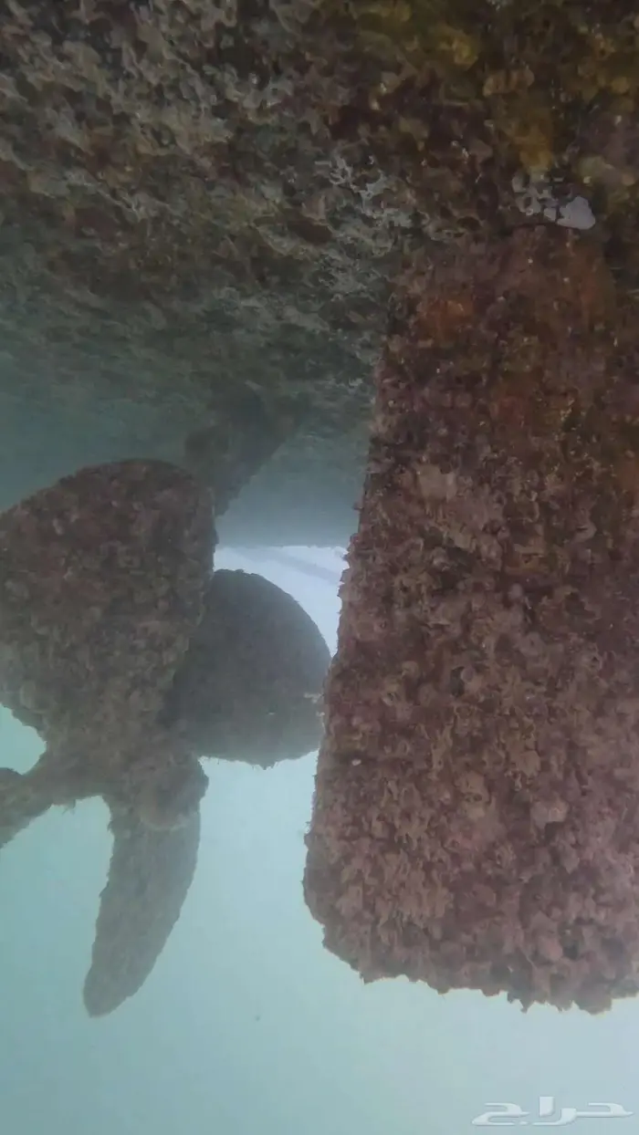 صيانة قوارب و إزالة العوالق   صدف و طحالب 1