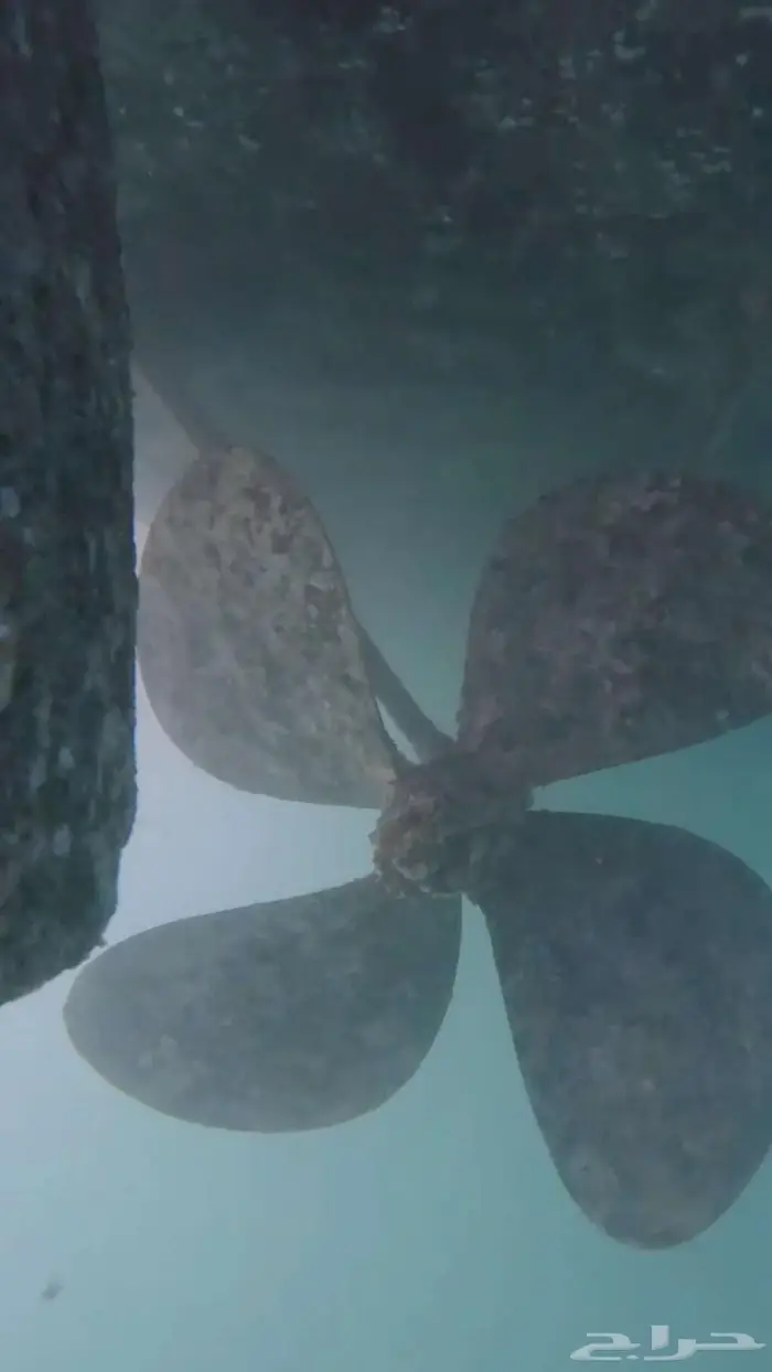 صيانة قوارب و إزالة العوالق   صدف و طحالب 2