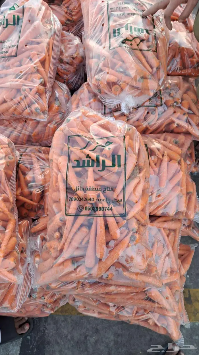 مندوب وموزع خضار 5