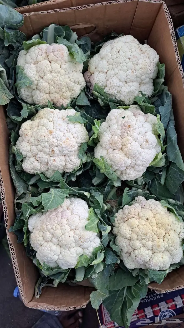 مندوب وموزع خضار 3